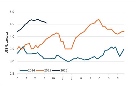 Macho Gordo En Paraguay