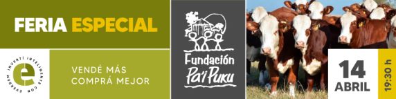 Pai Puku 14abril Banner Boletin (1)