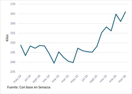Peso Medio De Las Carcasas