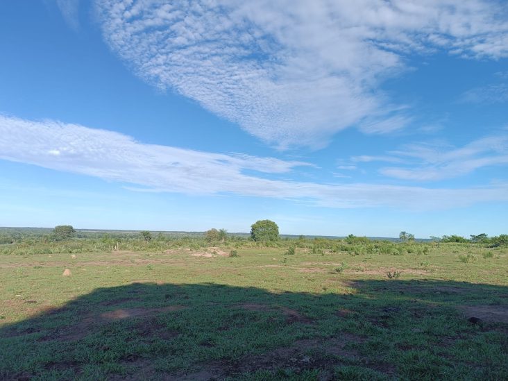 Estancia de 1.013 hectáreas en Paso Barreto 0