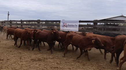 Lote 08 – NÂ° insp. 5887
