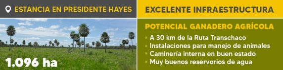 Banner Boletin Ref. 1241