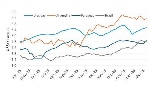 Precio Del Novillo En Mercosur