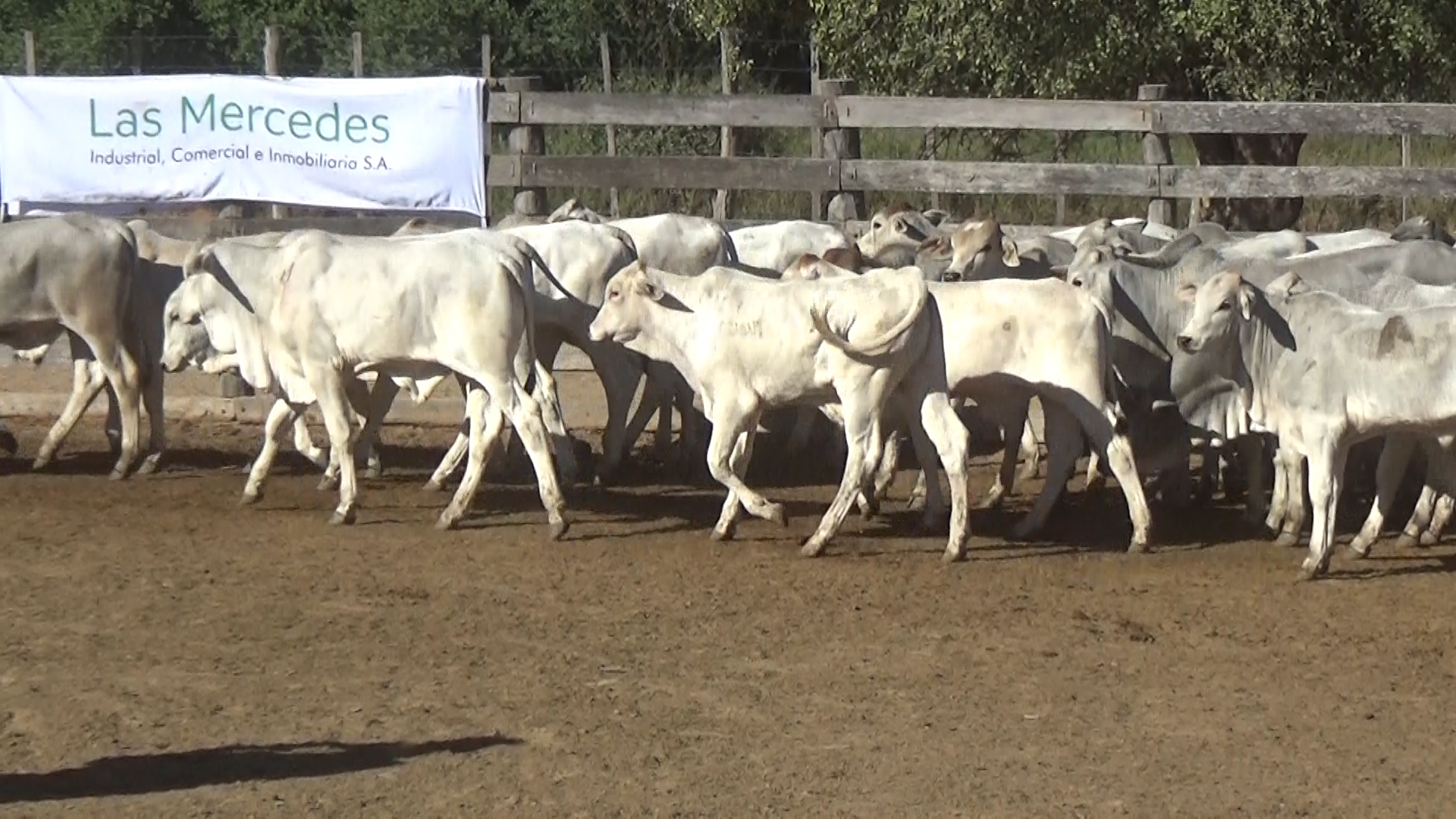 Lote 2 – NÂ° insp. 6026