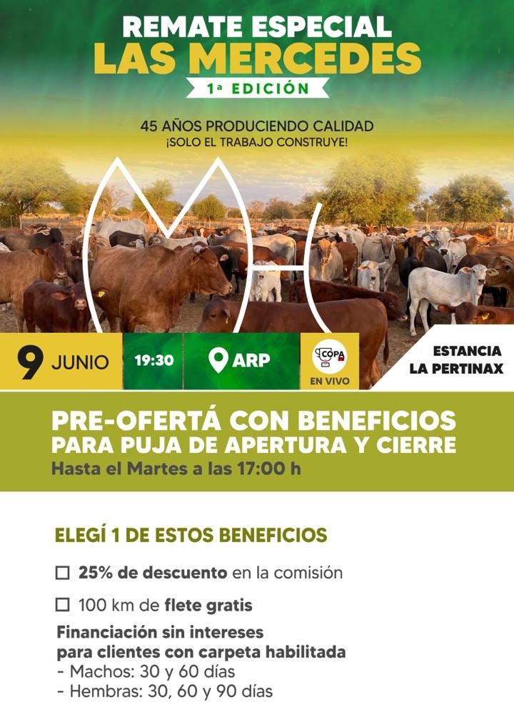 Calendario 2