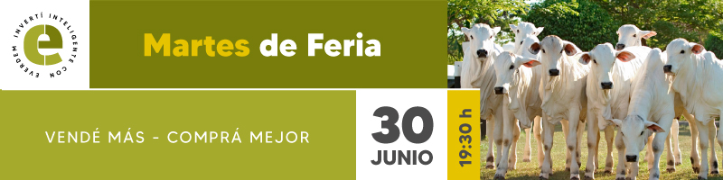 Everdem Feria 30jun 800x200 Banner Boletin (1)