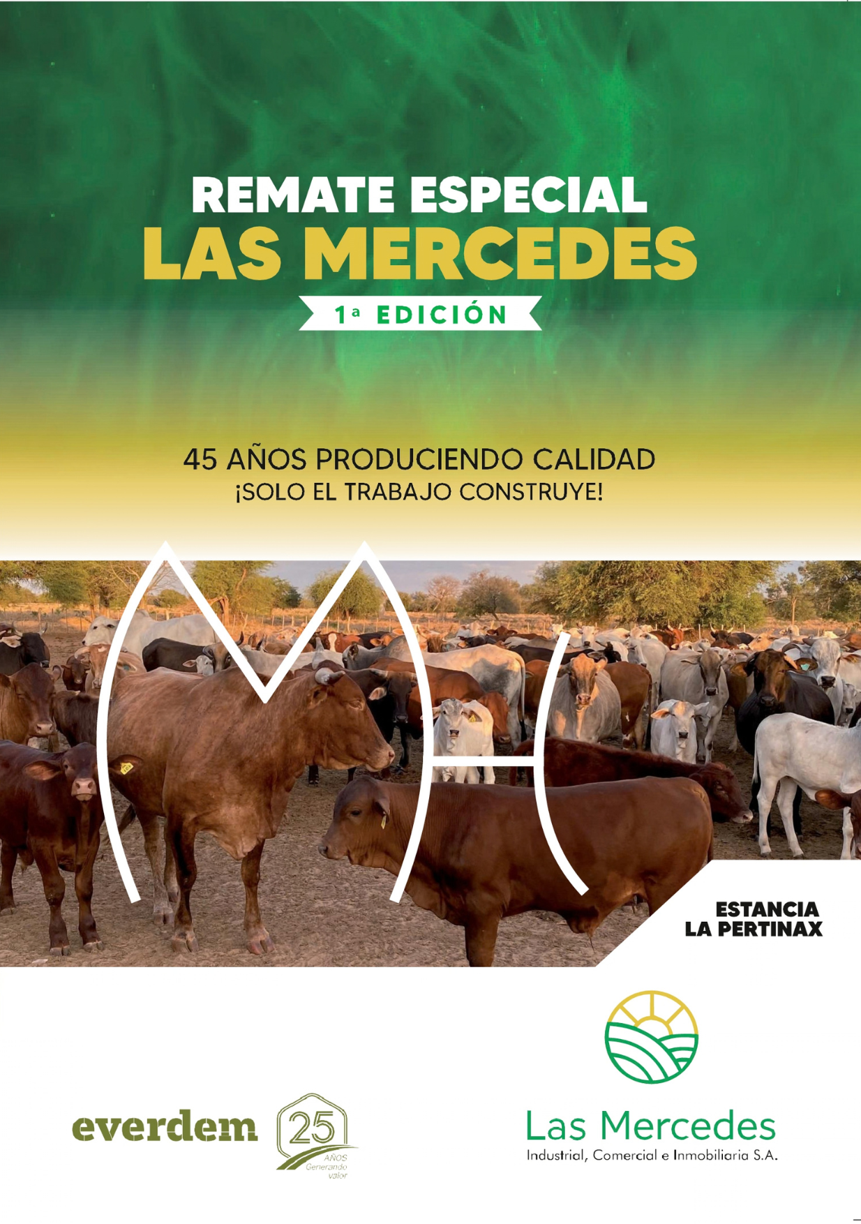 Tapa Las Mercedes