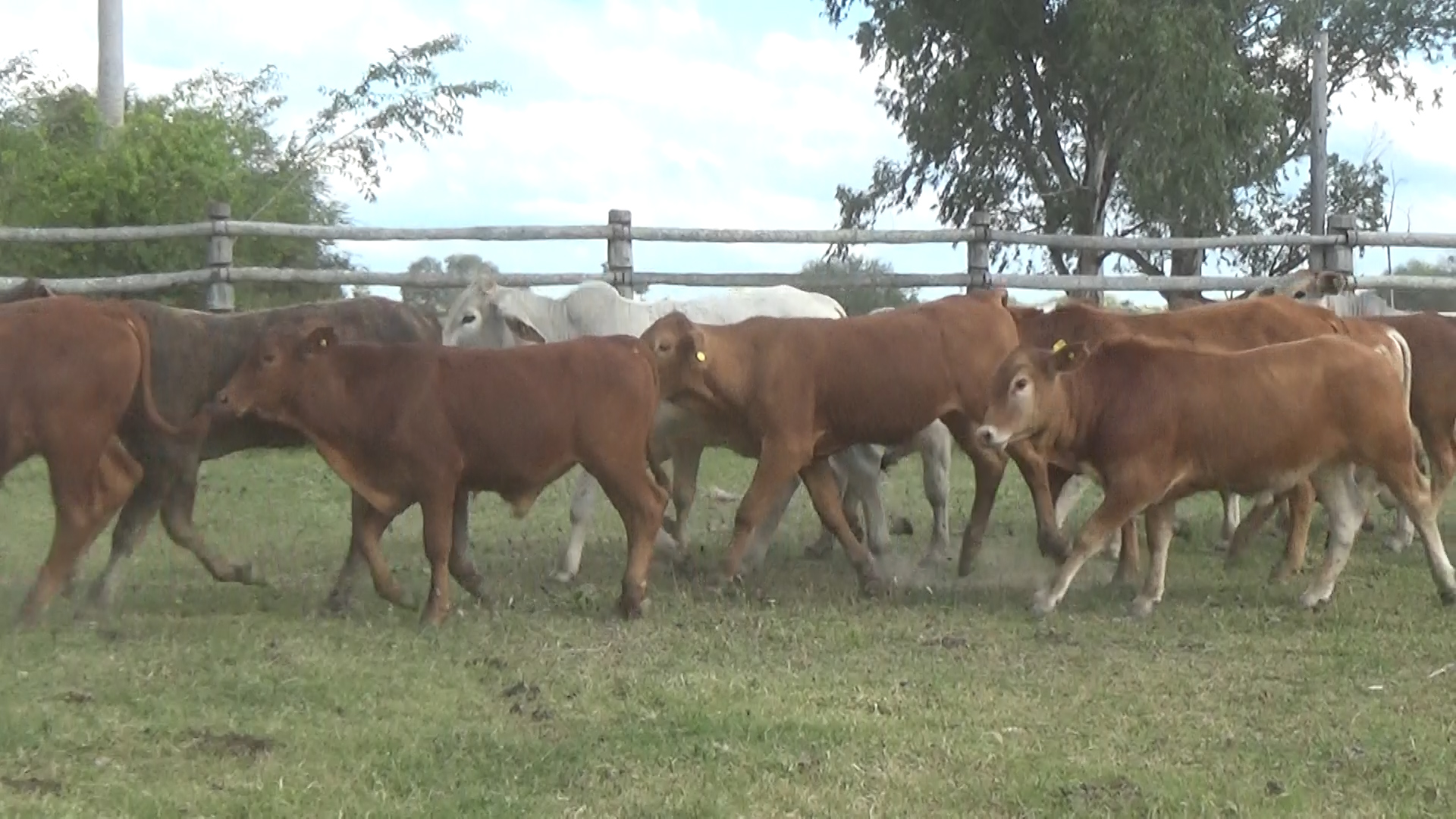 Feria 394 - FUNDARP â lote 05.3