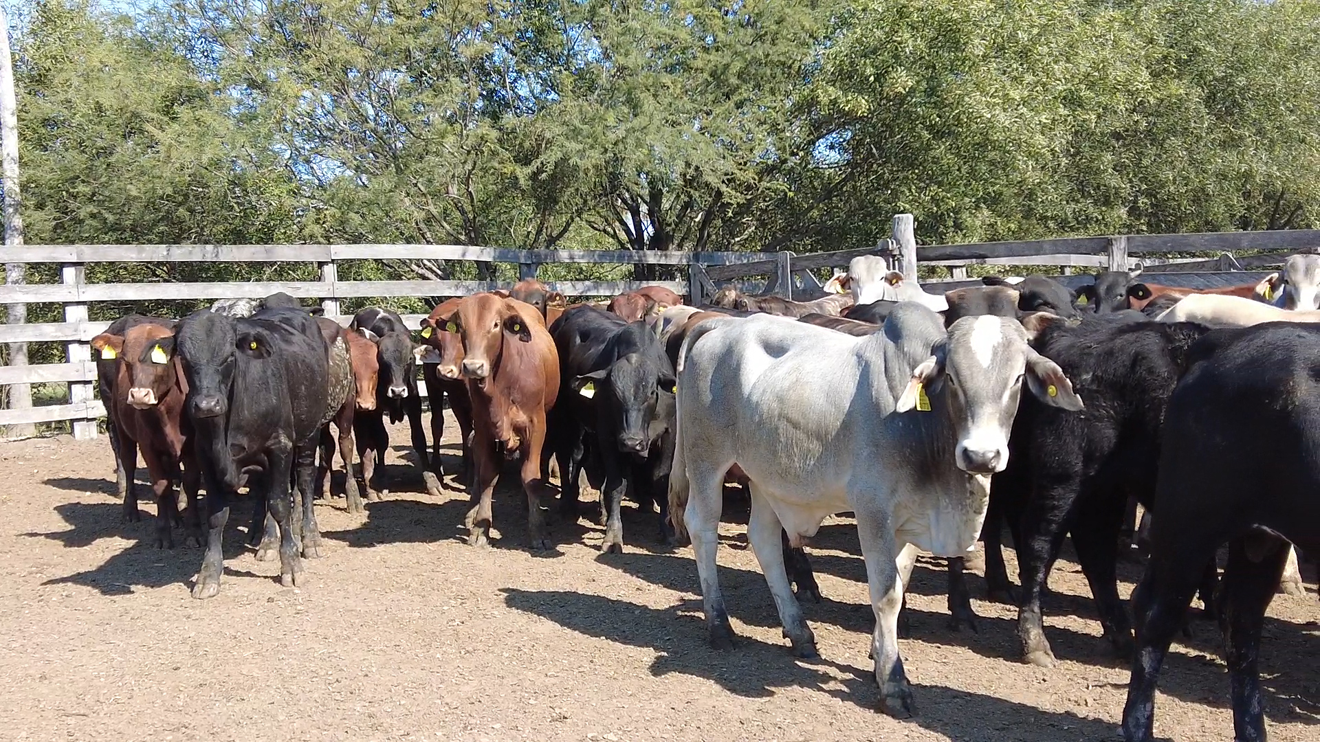Feria 394 - FUNDARP â lote 10.1