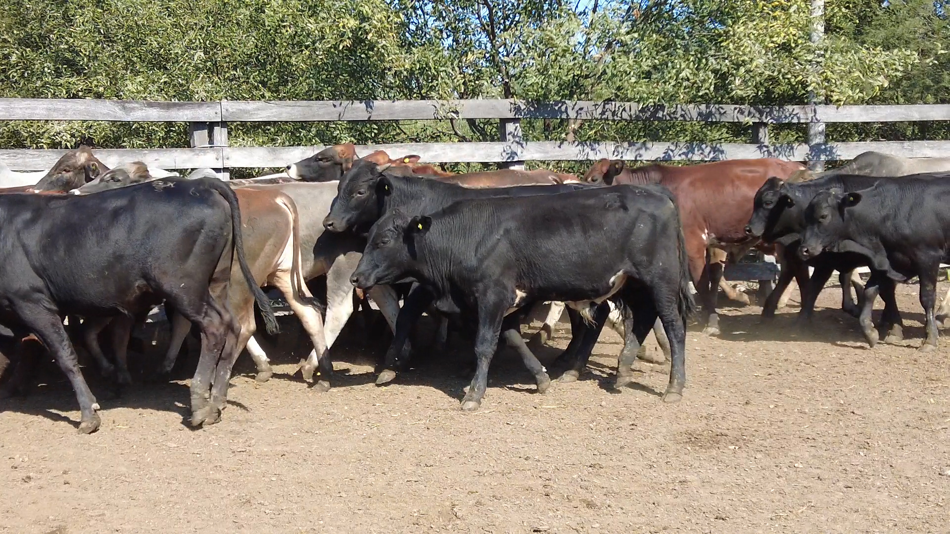 Feria 394 - FUNDARP â lote 10.3