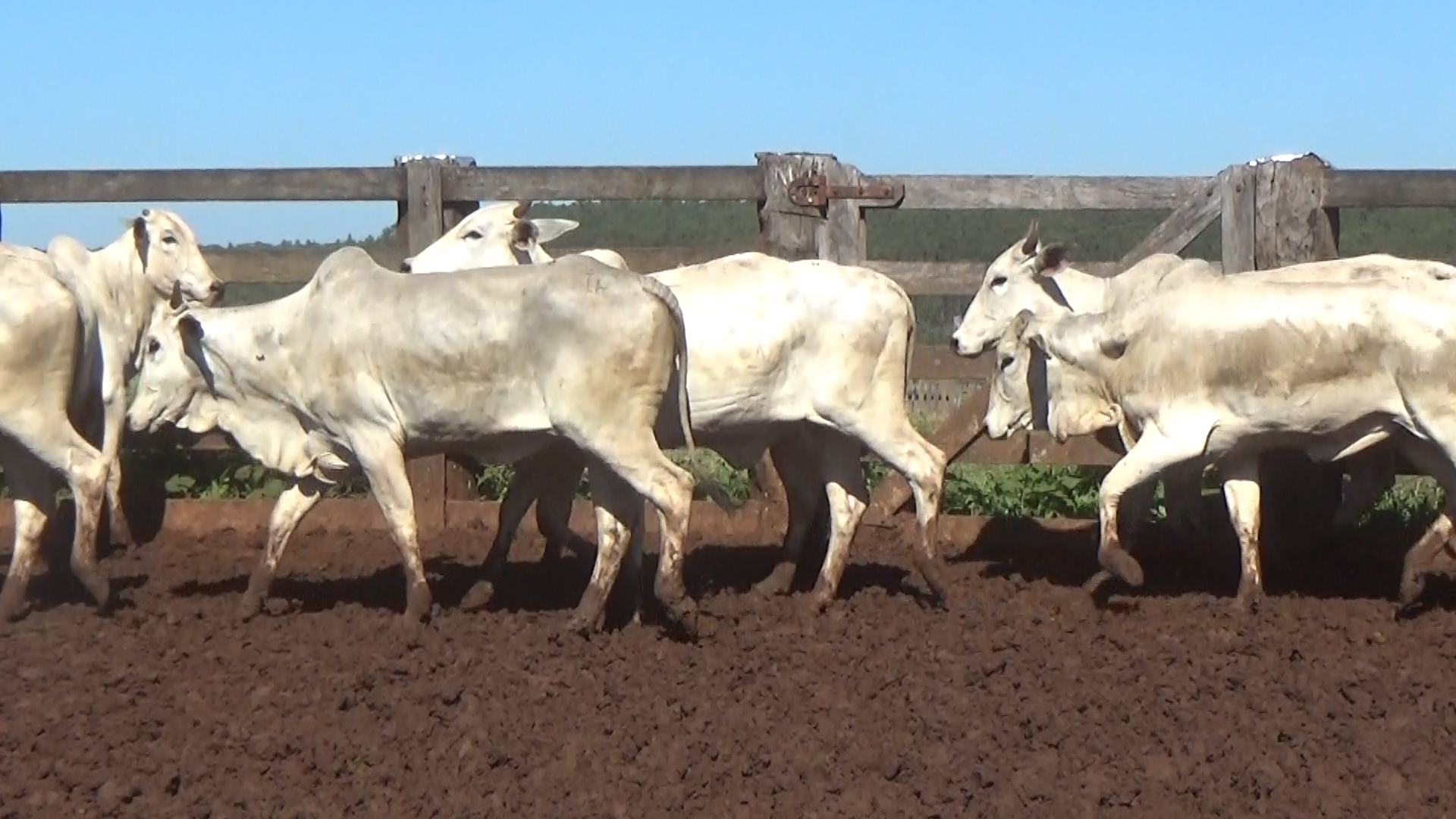 Feria 394 - FUNDARP  â lote 14.3