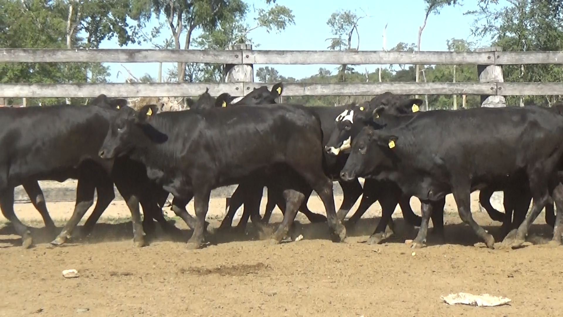Feria 394 - FUNDARP  â lote 15.1