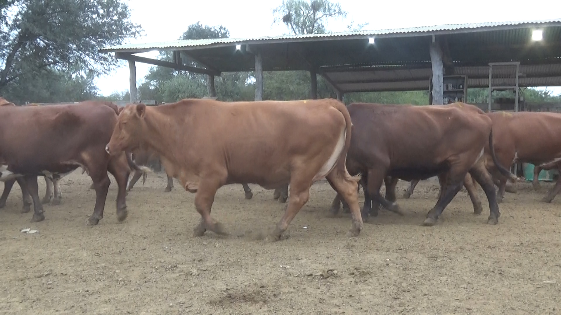 Feria 394 - FUNDARP â lote 17.2