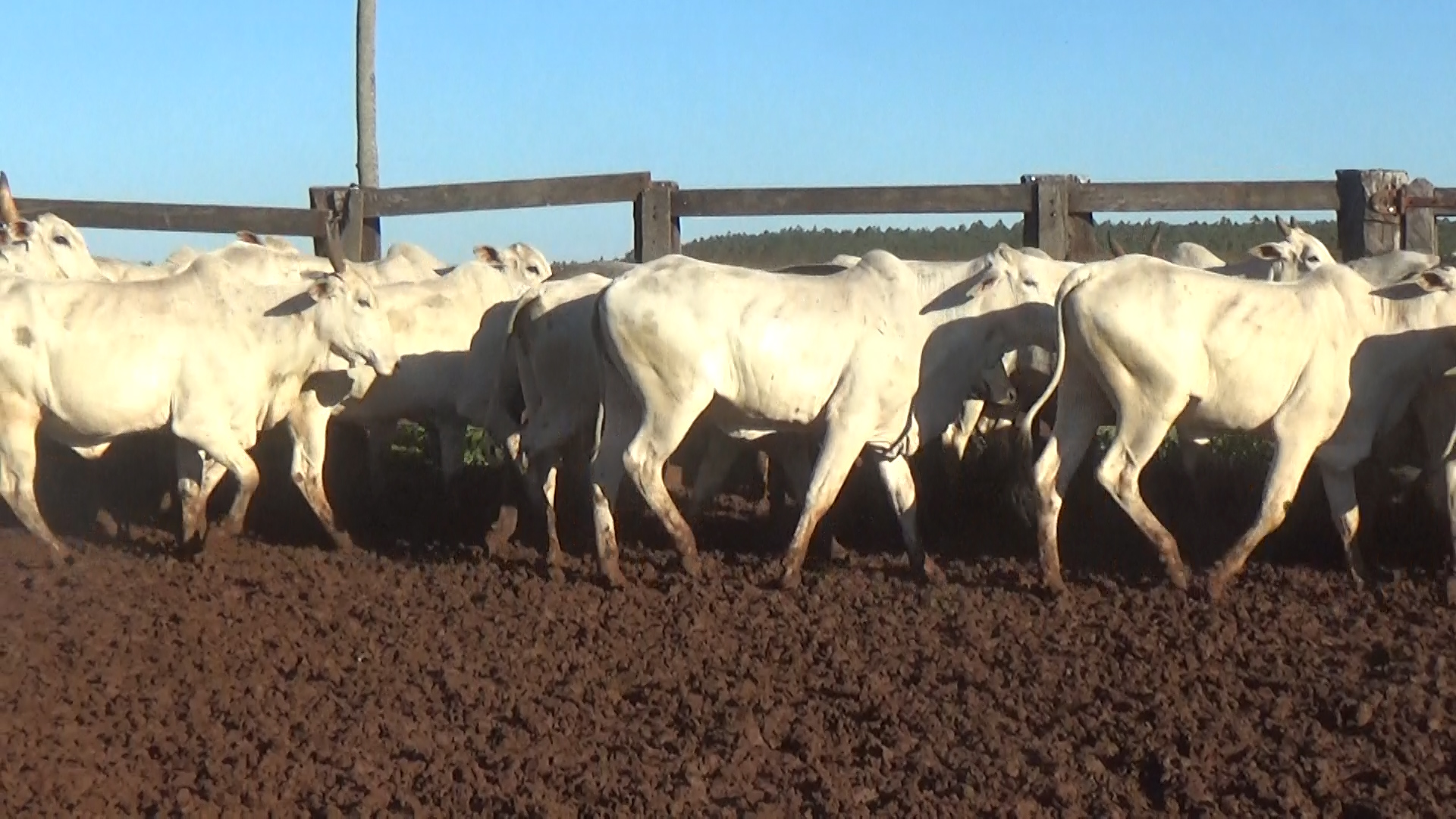 Feria 394 - FUNDARP  â lote 20.3