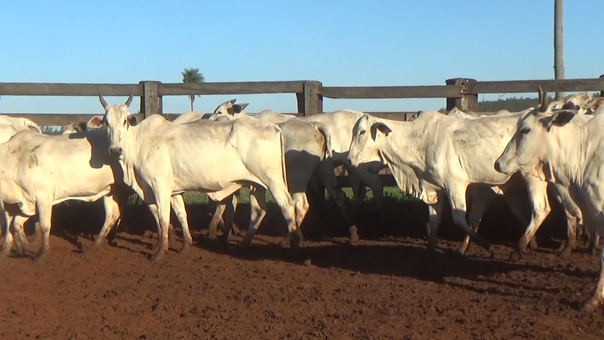 Feria 394 - FUNDARP â lote 21.3