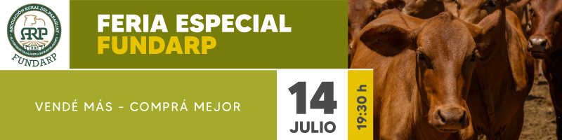Everdem Feria Fundarp 800x200 Banner Boletin.jpg