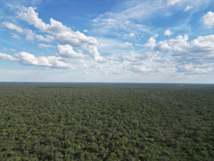 Monte de 4.200 hectáreas en Parapití, Boquerón 0