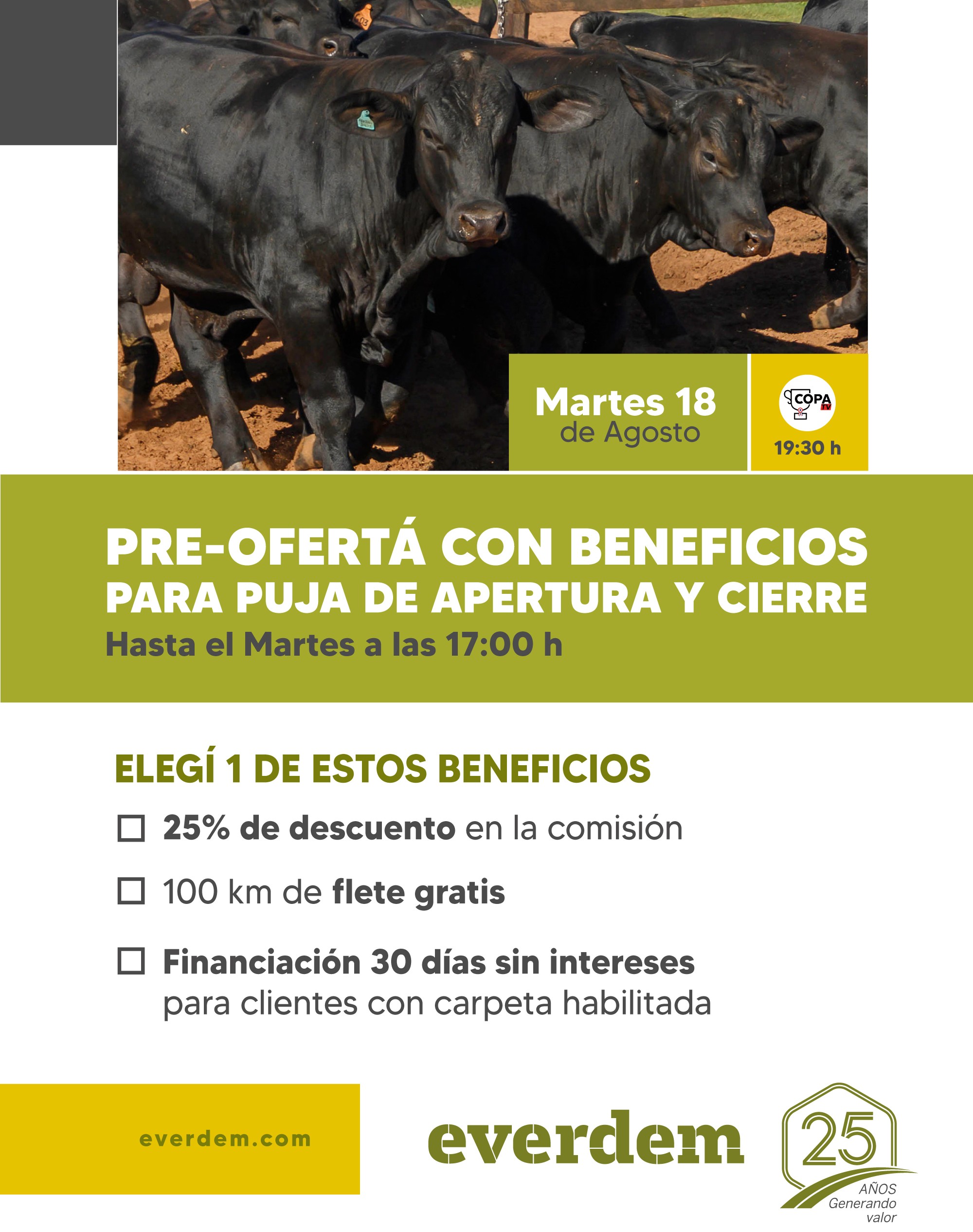 Everdem Feria 18ago Benef.jpg