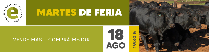 Everdem Feria 18ago Banner