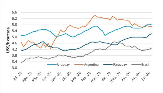 Precio Del Novillo En Mercosur