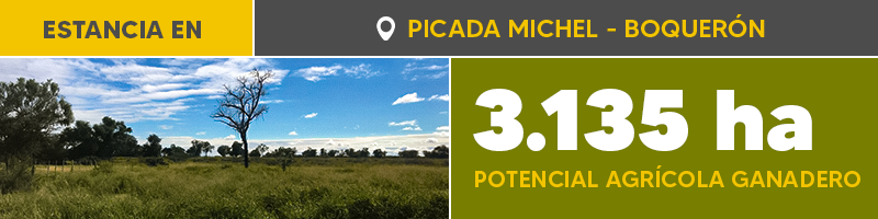 Picada Michel Banner Boletin 800 X 200 (1)