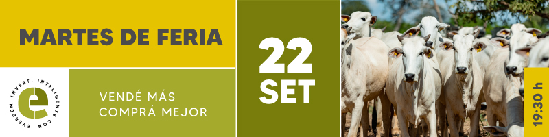 Everdem Feria 22 Set Banner.jpg (1)