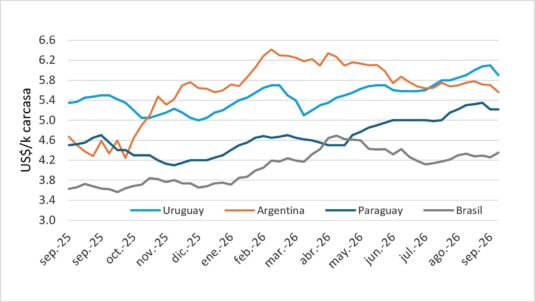 Precio Del Novillo En Mercosur