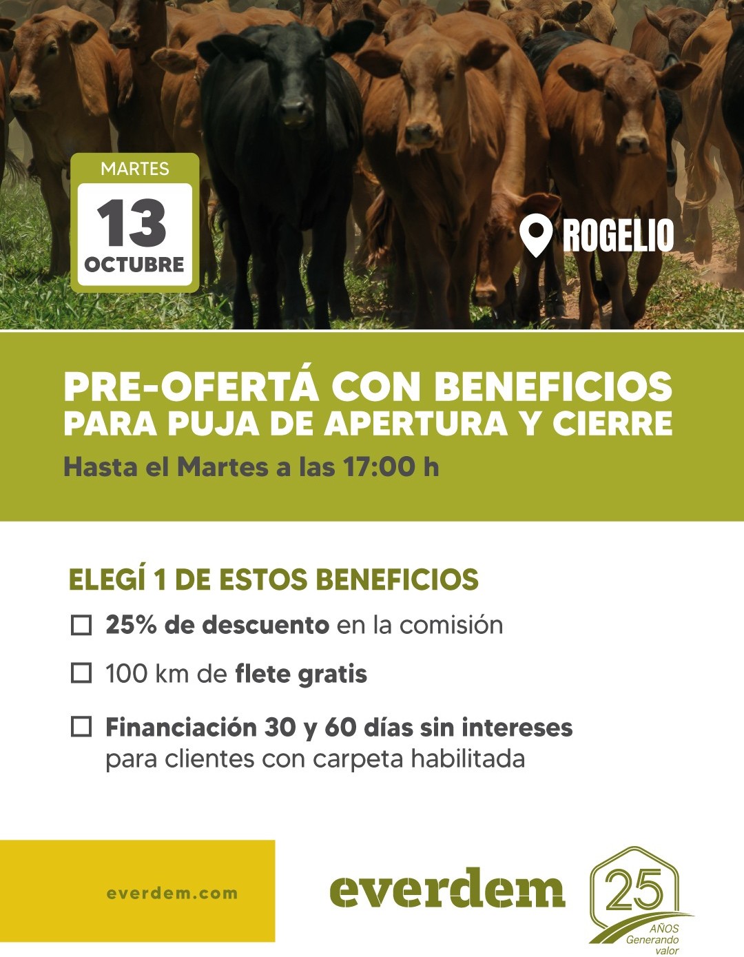 Everdem Feria 13oct Benef 1