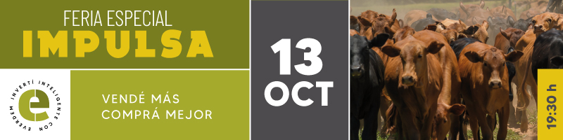 Everdem Feria Impulsa 13oct Banner