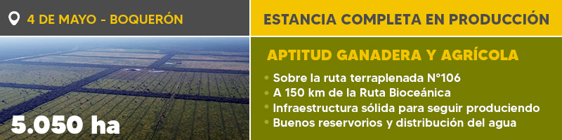 Ref. 647b 4 De Mayo 800x200.jpg (1)