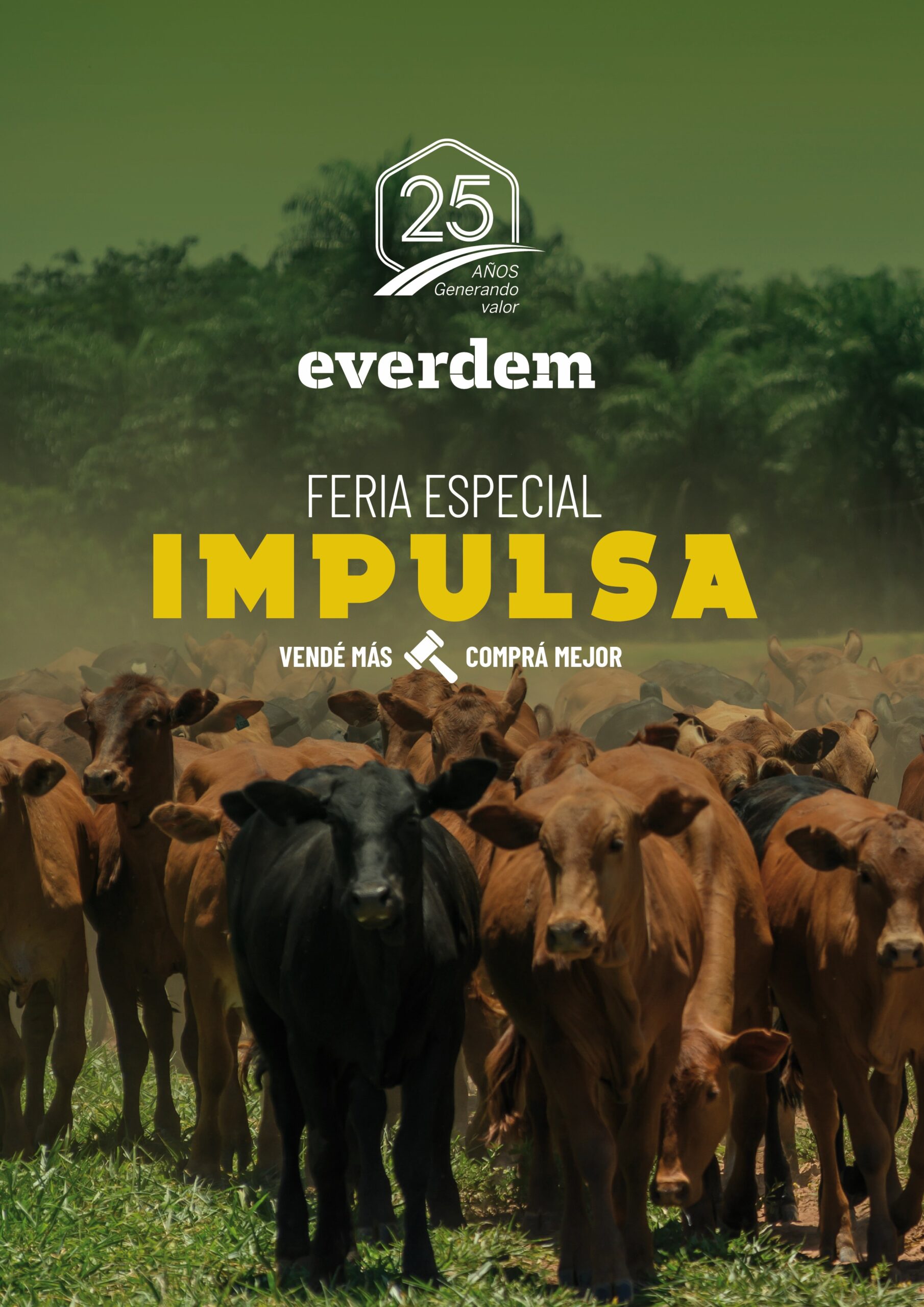 Everdem Carpeta