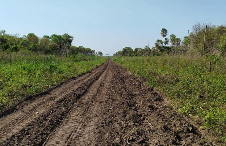 Establecimiento del 7.620 hectáreas en Fuerte Olimpo 0